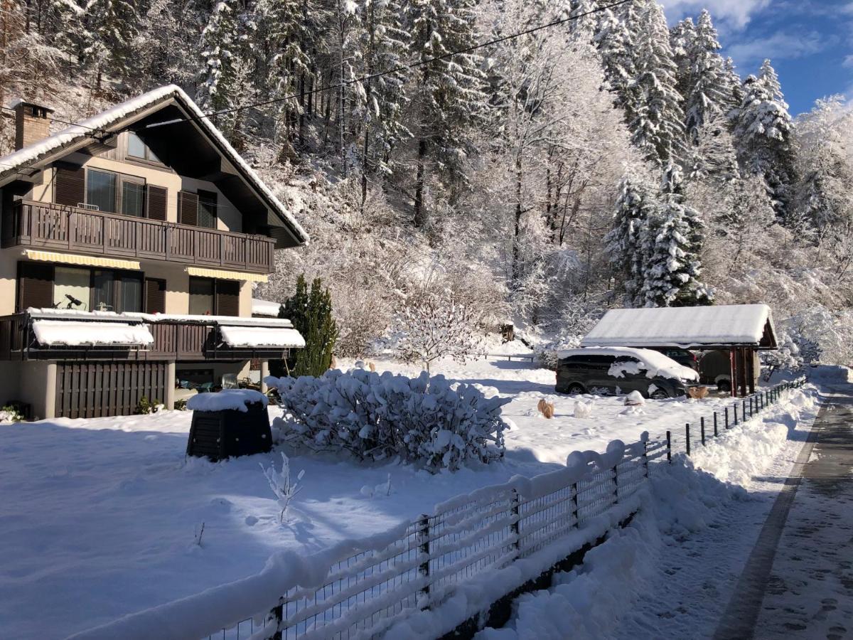 Savadolinka House Daire Mojstrana Dış mekan fotoğraf