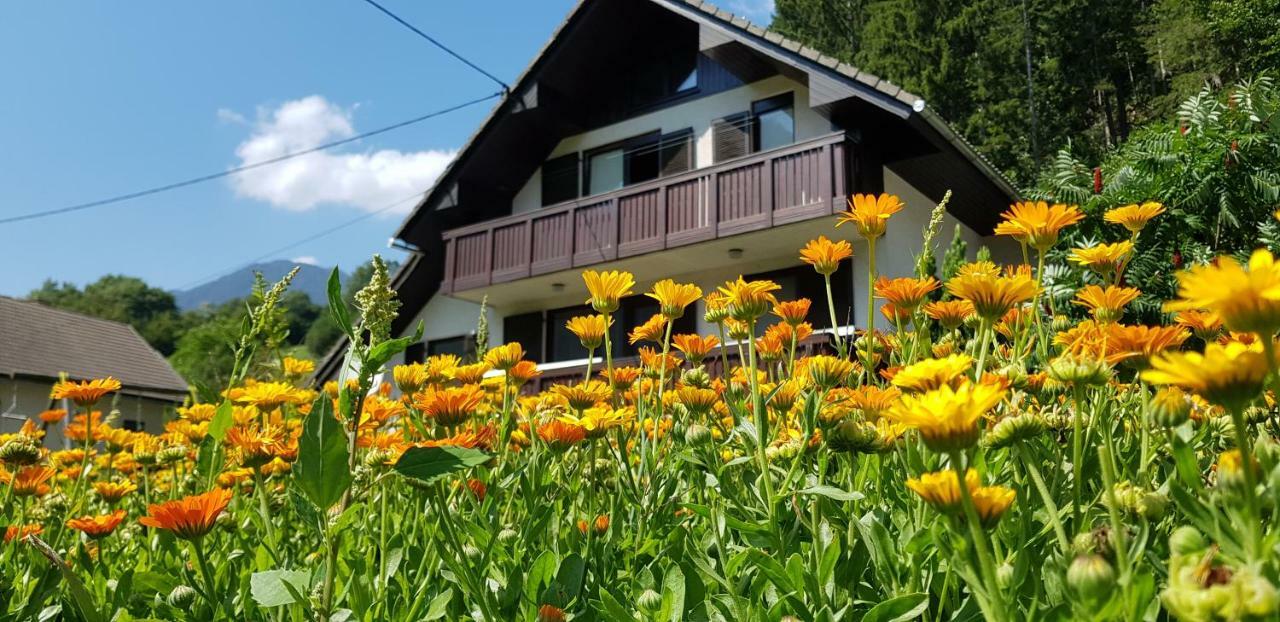Savadolinka House Daire Mojstrana Dış mekan fotoğraf