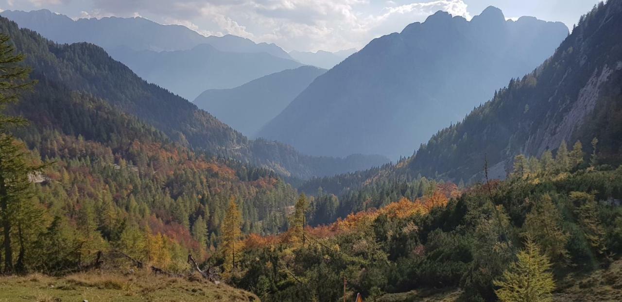 Savadolinka House Daire Mojstrana Dış mekan fotoğraf